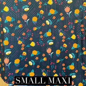 Small LuLaRoe Maxi Skirt